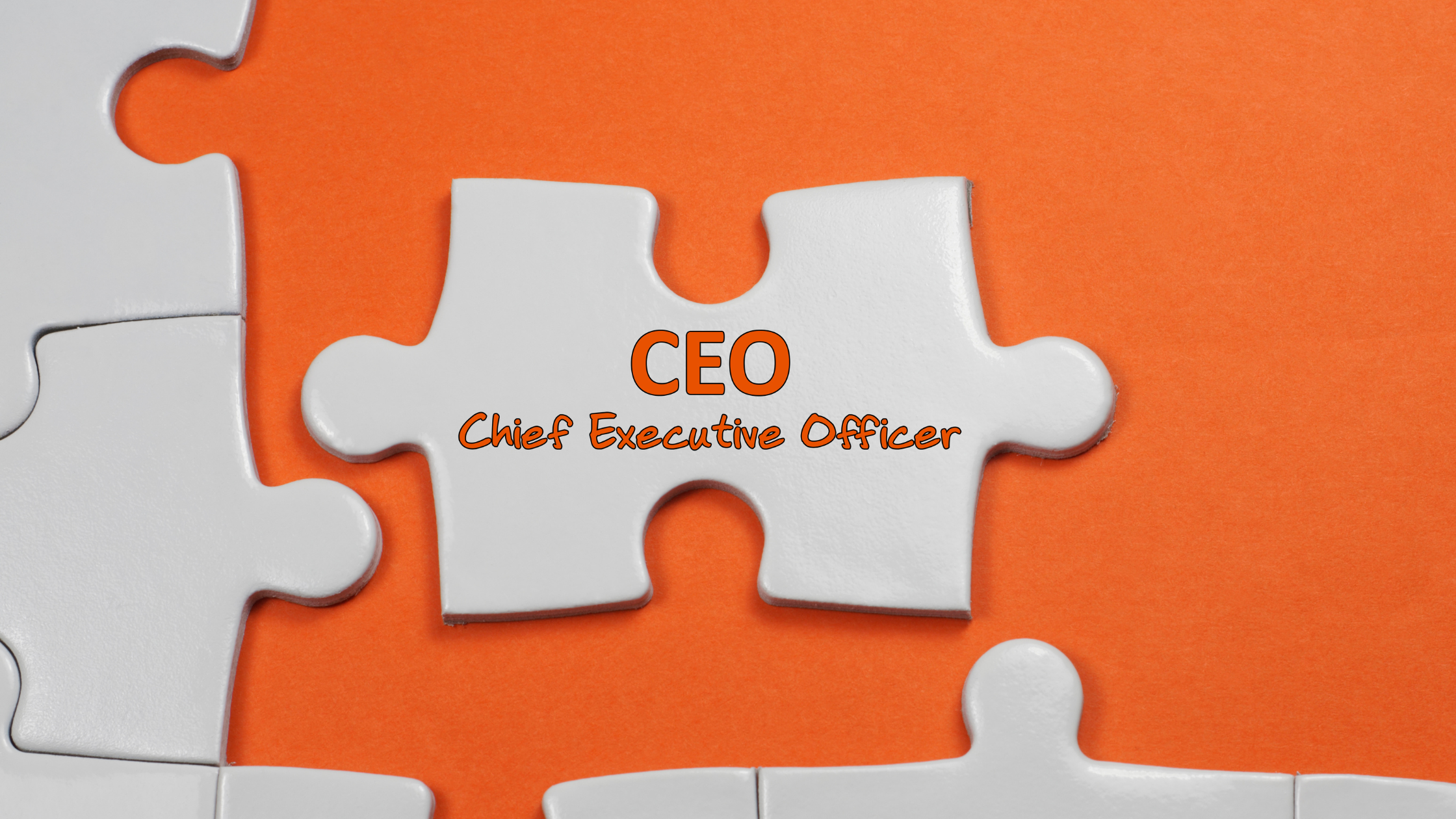 Leading Like a CEO to Become Extraordinary